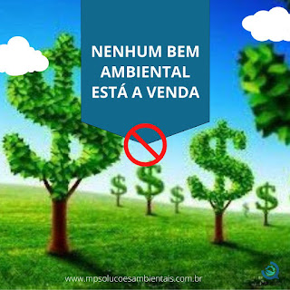 NENHUM BEM AMBIENTAL ESTÁ À VENDA